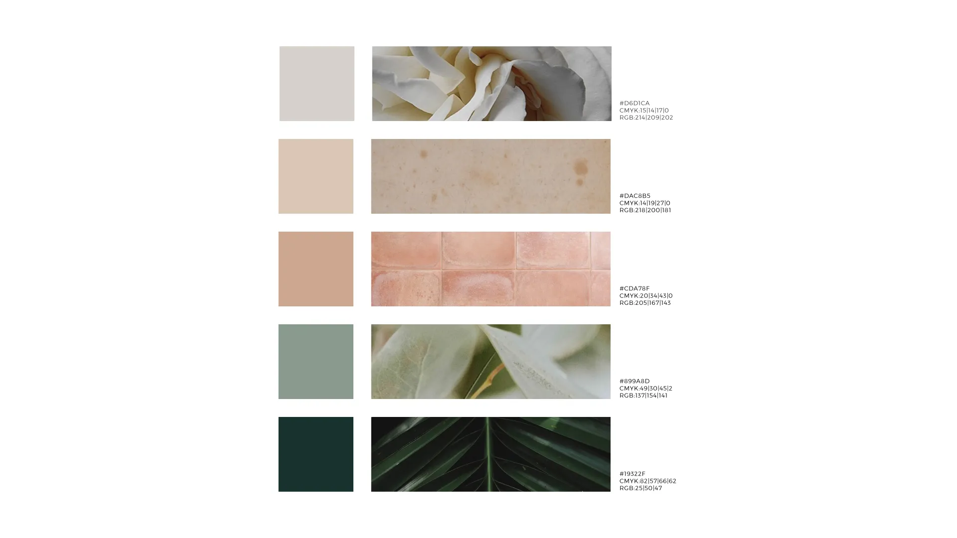 colors